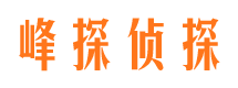 河口区市婚姻调查